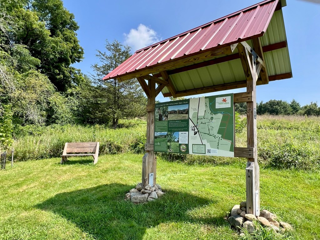 Tree ID Trails, September&nbsp;2024