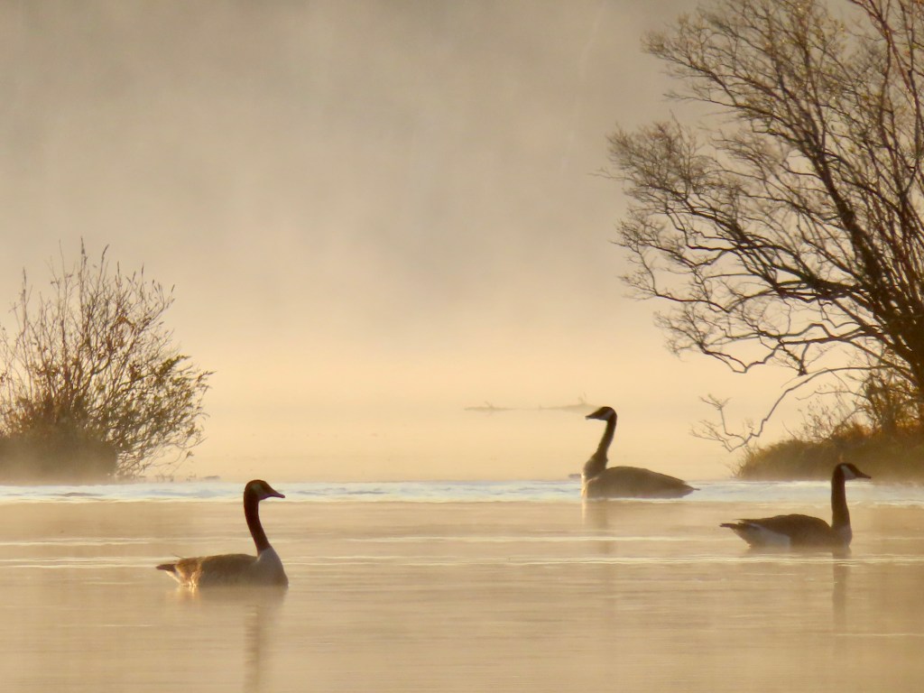 Navigating Unmarked Trails, October&nbsp;2024